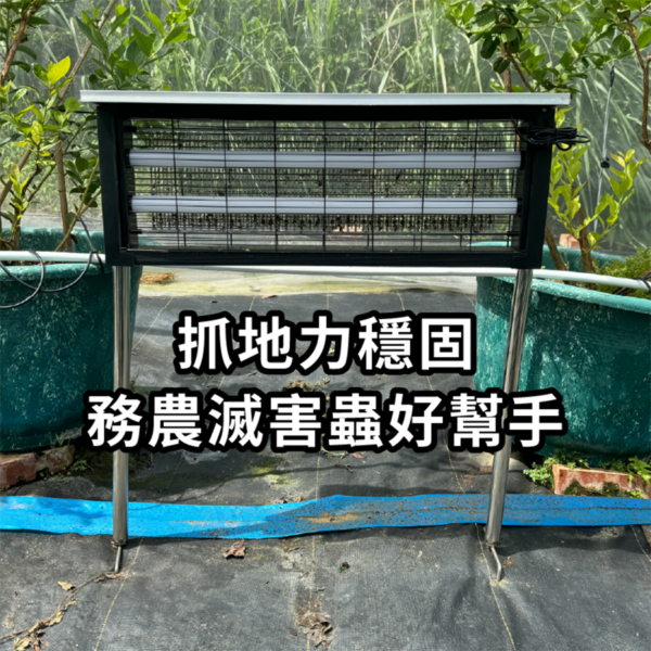 太陽能戶外庭園滅蚊燈 大型款：圖片 2
