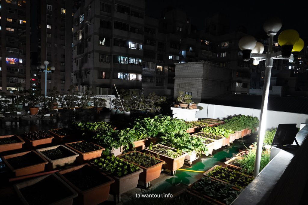 太陽能投射燈照亮菜園夜間環境，戶外照明效果清晰明亮