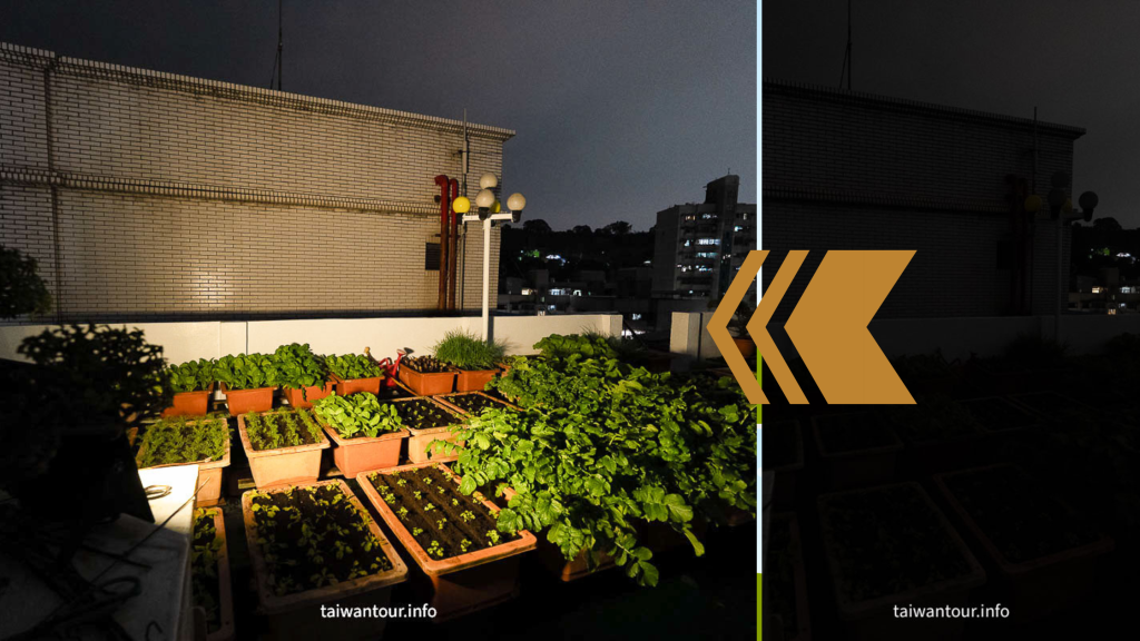 太陽能投射燈安裝前後對比，1500W等效亮度照亮戶外菜園空間，夜間照明效果實測