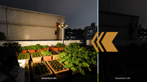 太陽能投射燈安裝前後對比,1500W等效亮度照亮戶外菜園空間,夜間照明效果實測